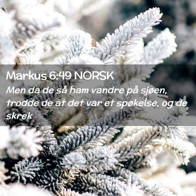 Picture 02 - Markus 6:49 NORSK - Men da de så ham vandre på sjøen, trodde de at - Bible Verse Picture