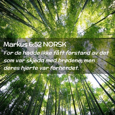Picture 02 - Markus 6:52 NORSK - For de hadde ikke fått forstand av det som var - Bible Verse Picture
