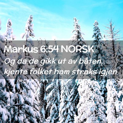 Picture 02 - Markus 6:54 NORSK - Og da de gikk ut av båten, kjente folket ham - Bible Verse Picture