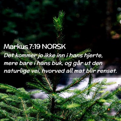 Picture 02 - Markus 7:19 NORSK - Det kommer jo ikke inn i hans hjerte, mere bare i - Bible Verse Picture