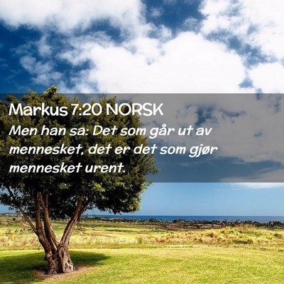 Picture 02 - Markus 7:20 NORSK - Men han sa: Det som går ut av mennesket, det er - Bible Verse Picture