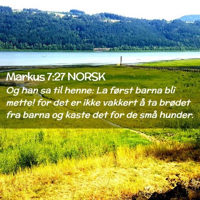 Picture 02 - Markus 7:27 NORSK - Og han sa til henne: La først barna bli mette! - Bible Verse Picture