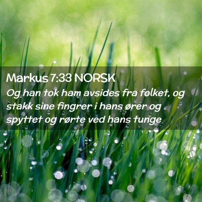 Picture 02 - Markus 7:33 NORSK - Og han tok ham avsides fra folket, og stakk sine - Bible Verse Picture
