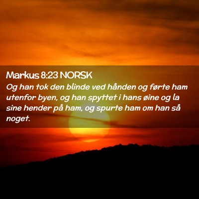 Picture 02 - Markus 8:23 NORSK - Og han tok den blinde ved hånden og førte ham - Bible Verse Picture
