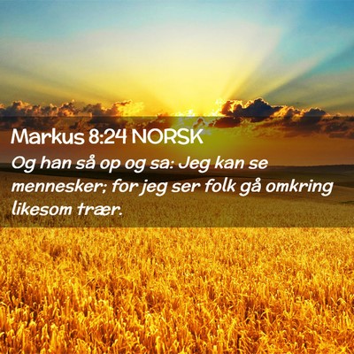 Picture 02 - Markus 8:24 NORSK - Og han så op og sa: Jeg kan se mennesker; for - Bible Verse Picture