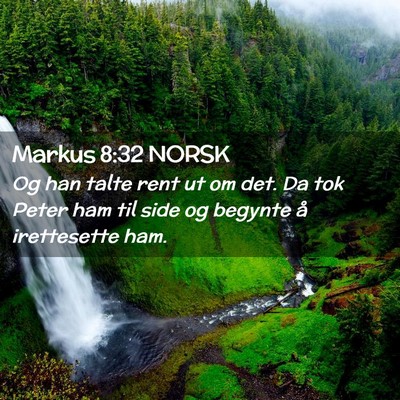 Picture 02 - Markus 8:32 NORSK - Og han talte rent ut om det. Da tok Peter ham til - Bible Verse Picture