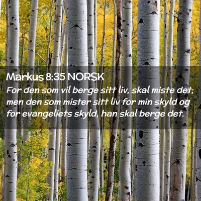 Picture 02 - Markus 8:35 NORSK - For den som vil berge sitt liv, skal miste det; - Bible Verse Picture