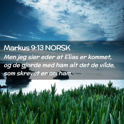 Picture 02 - Markus 9:13 NORSK - Men jeg sier eder at Elias er kommet, og de - Bible Verse Picture