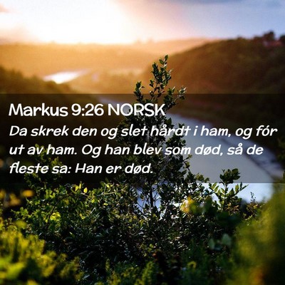 Picture 02 - Markus 9:26 NORSK - Da skrek den og slet hårdt i ham, og fór ut av - Bible Verse Picture