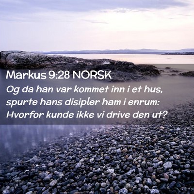 Picture 02 - Markus 9:28 NORSK - Og da han var kommet inn i et hus, spurte hans - Bible Verse Picture