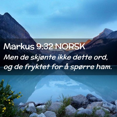 Picture 02 - Markus 9:32 NORSK - Men de skjønte ikke dette ord, og de fryktet for - Bible Verse Picture