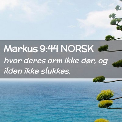 Picture 02 - Markus 9:44 NORSK - hvor deres orm ikke dør, og ilden ikke - Bible Verse Picture