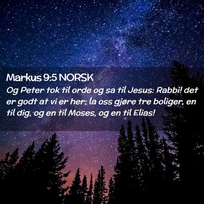 Picture 02 - Markus 9:5 NORSK - Og Peter tok til orde og sa til Jesus: Rabbi! det - Bible Verse Picture