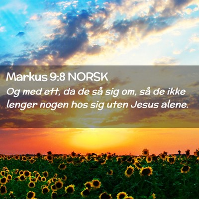 Picture 02 - Markus 9:8 NORSK - Og med ett, da de så sig om, så de ikke lenger - Bible Verse Picture