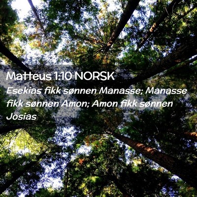 Picture 02 - Matteus 1:10 NORSK - Esekias fikk sønnen Manasse; Manasse fikk - Bible Verse Picture