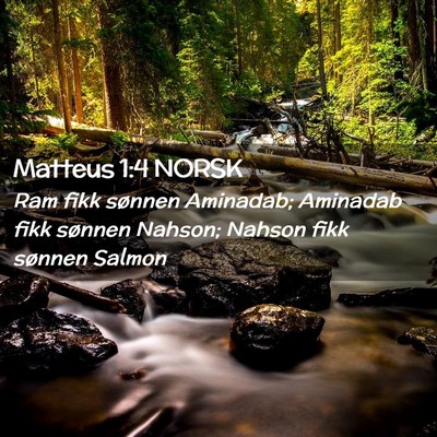 Picture 02 - Matteus 1:4 NORSK - Ram fikk sønnen Aminadab; Aminadab fikk sønnen - Bible Verse Picture