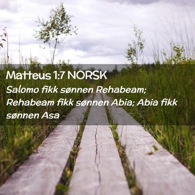 Picture 02 - Matteus 1:7 NORSK - Salomo fikk sønnen Rehabeam; Rehabeam fikk - Bible Verse Picture