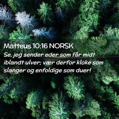 Picture 02 - Matteus 10:16 NORSK - Se, jeg sender eder som får midt iblandt ulver; - Bible Verse Picture