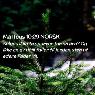 Picture 02 - Matteus 10:29 NORSK - Selges ikke to spurver for en øre? Og ikke en av - Bible Verse Picture
