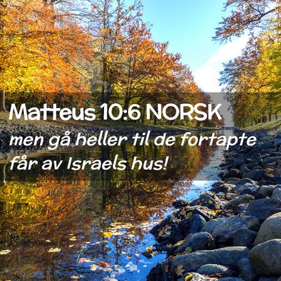 Picture 02 - Matteus 10:6 NORSK - men gå heller til de fortapte får av Israels - Bible Verse Picture