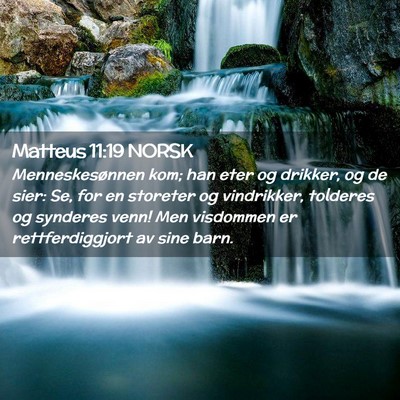 Picture 02 - Matteus 11:19 NORSK - Menneskesønnen kom; han eter og drikker, og de - Bible Verse Picture