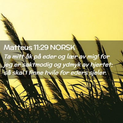 Picture 02 - Matteus 11:29 NORSK - Ta mitt åk på eder og lær av mig! for jeg er - Bible Verse Picture