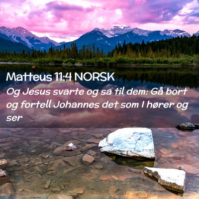 Picture 02 - Matteus 11:4 NORSK - Og Jesus svarte og sa til dem: Gå bort og - Bible Verse Picture