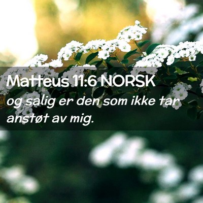 Picture 02 - Matteus 11:6 NORSK - og salig er den som ikke tar anstøt av - Bible Verse Picture