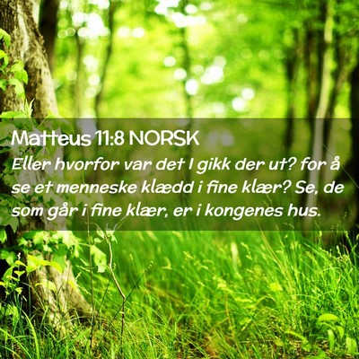 Picture 02 - Matteus 11:8 NORSK - Eller hvorfor var det I gikk der ut? for å se et - Bible Verse Picture