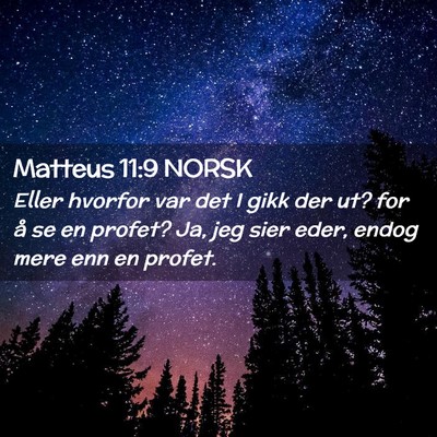 Picture 02 - Matteus 11:9 NORSK - Eller hvorfor var det I gikk der ut? for å se en - Bible Verse Picture