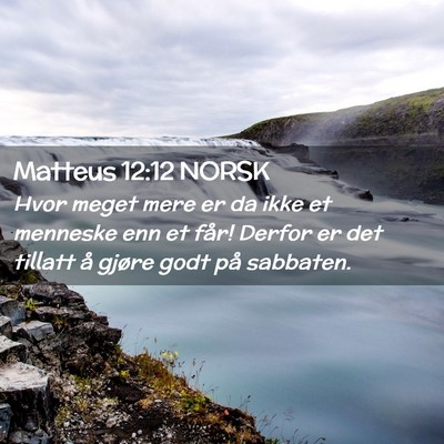 Picture 02 - Matteus 12:12 NORSK - Hvor meget mere er da ikke et menneske enn et - Bible Verse Picture