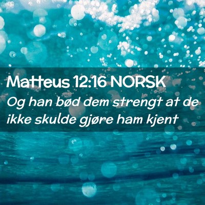 Picture 02 - Matteus 12:16 NORSK - Og han bød dem strengt at de ikke skulde gjøre - Bible Verse Picture