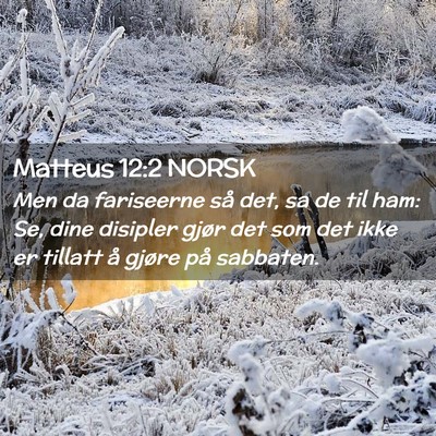 Picture 02 - Matteus 12:2 NORSK - Men da fariseerne så det, sa de til ham: Se, - Bible Verse Picture