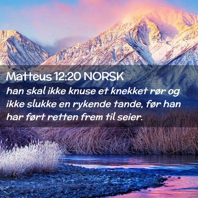 Picture 02 - Matteus 12:20 NORSK - han skal ikke knuse et knekket rør og ikke - Bible Verse Picture