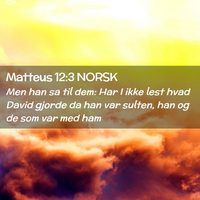 Picture 02 - Matteus 12:3 NORSK - Men han sa til dem: Har I ikke lest hvad David - Bible Verse Picture