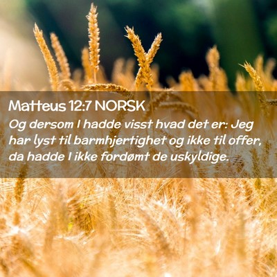 Picture 02 - Matteus 12:7 NORSK - Og dersom I hadde visst hvad det er: Jeg har lyst - Bible Verse Picture