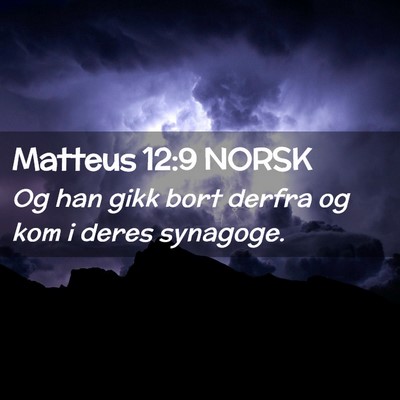 Picture 02 - Matteus 12:9 NORSK - Og han gikk bort derfra og kom i deres - Bible Verse Picture