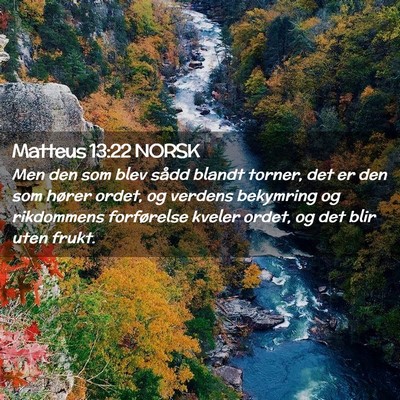 Picture 02 - Matteus 13:22 NORSK - Men den som blev sådd blandt torner, det er den - Bible Verse Picture