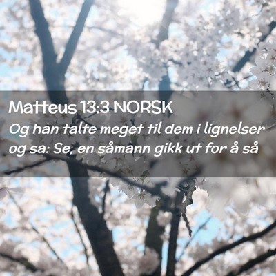 Picture 02 - Matteus 13:3 NORSK - Og han talte meget til dem i lignelser og sa: Se, - Bible Verse Picture
