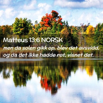 Picture 02 - Matteus 13:6 NORSK - men da solen gikk op, blev det avsvidd, og da det - Bible Verse Picture
