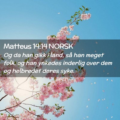 Picture 02 - Matteus 14:14 NORSK - Og da han gikk i land, så han meget folk, og han - Bible Verse Picture