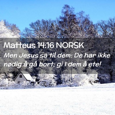 Picture 02 - Matteus 14:16 NORSK - Men Jesus sa til dem: De har ikke nødig å gå - Bible Verse Picture