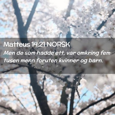 Picture 02 - Matteus 14:21 NORSK - Men de som hadde ett, var omkring fem tusen menn - Bible Verse Picture