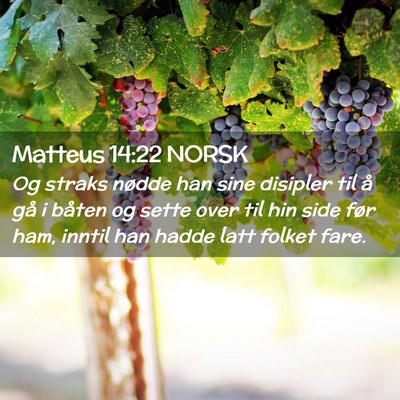 Picture 02 - Matteus 14:22 NORSK - Og straks nødde han sine disipler til å gå i - Bible Verse Picture