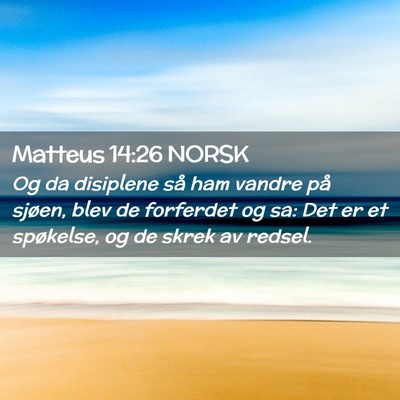 Picture 02 - Matteus 14:26 NORSK - Og da disiplene så ham vandre på sjøen, blev - Bible Verse Picture