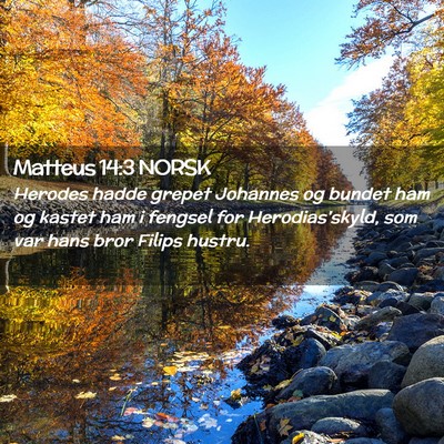 Picture 02 - Matteus 14:3 NORSK - Herodes hadde grepet Johannes og bundet ham og - Bible Verse Picture