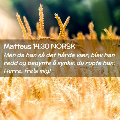 Picture 02 - Matteus 14:30 NORSK - Men da han så det hårde vær, blev han redd og - Bible Verse Picture