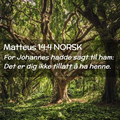 Picture 02 - Matteus 14:4 NORSK - For Johannes hadde sagt til ham: Det er dig ikke - Bible Verse Picture