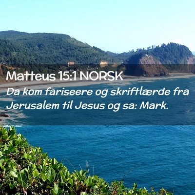 Picture 02 - Matteus 15:1 NORSK - Da kom fariseere og skriftlærde fra Jerusalem - Bible Verse Picture