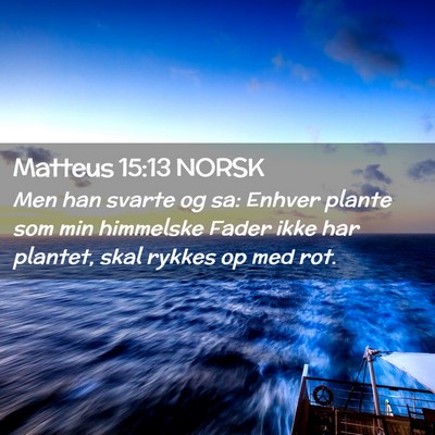 Picture 02 - Matteus 15:13 NORSK - Men han svarte og sa: Enhver plante som min - Bible Verse Picture